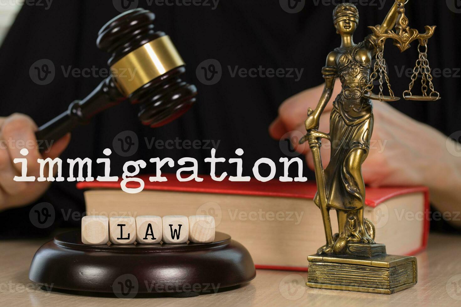 Words IMMIGRATION LAW composed of wooden dices. Wooden gavel and statue of Themis in the background. photo