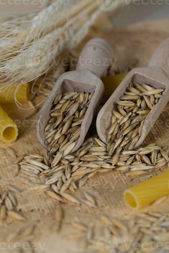 Rye grains in wooden spoons. photo