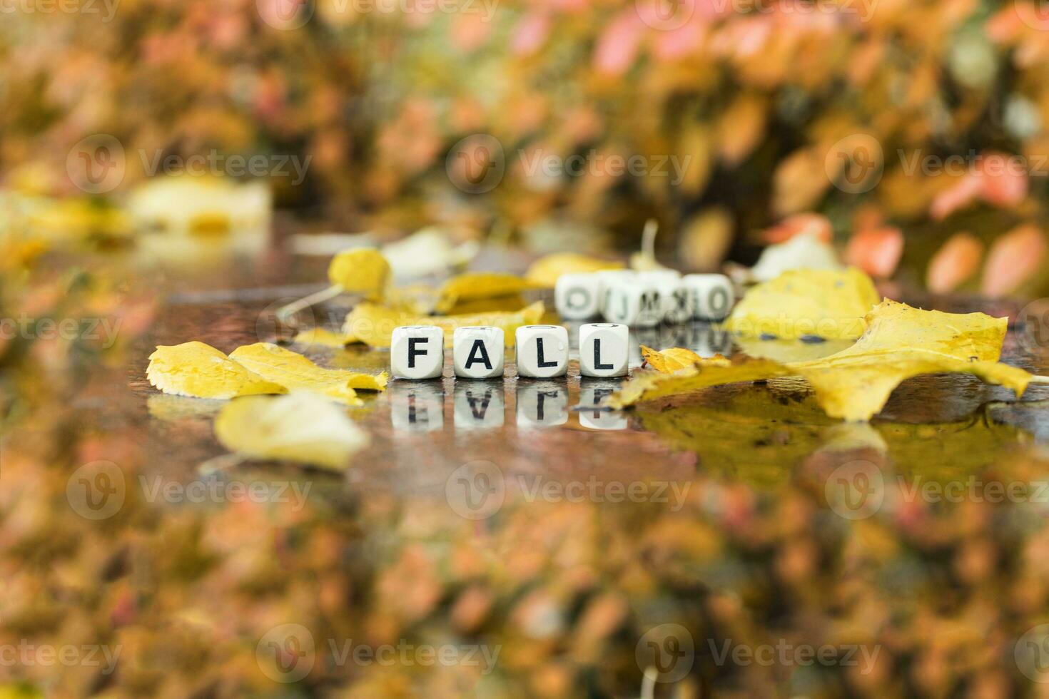 Word FALL is composed of wooden letters. photo