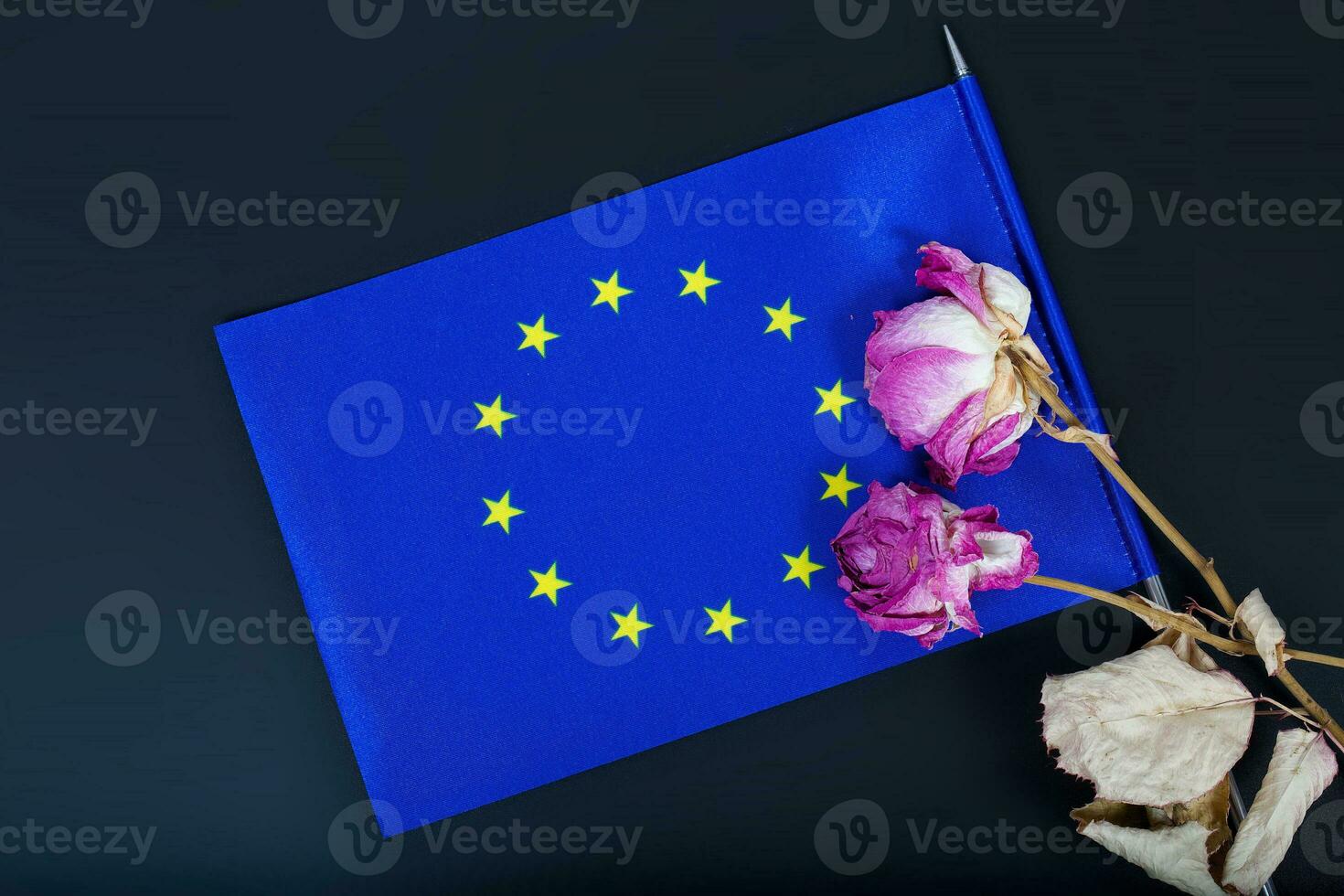 A flag of EU and dried flowers photo