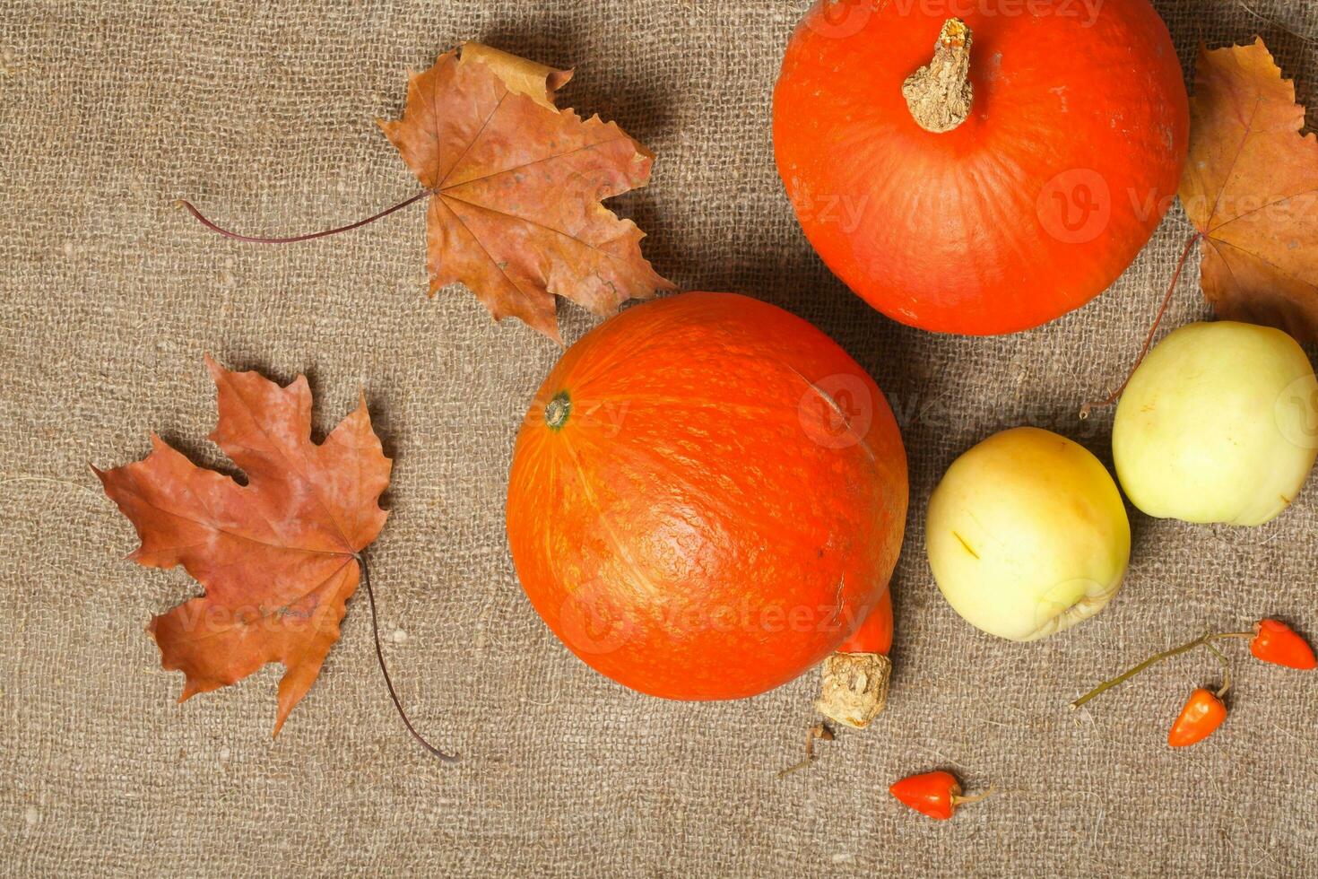 Two orange pumpkins and green apples photo
