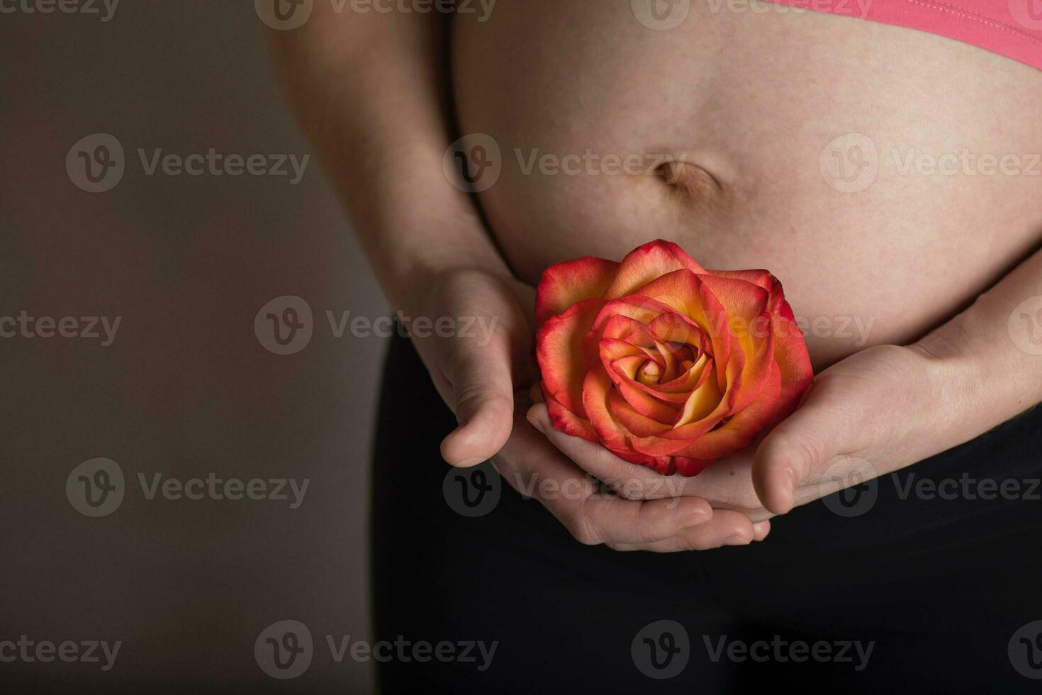 Young pregnant woman keeps natural rose blossom close to her belly. photo