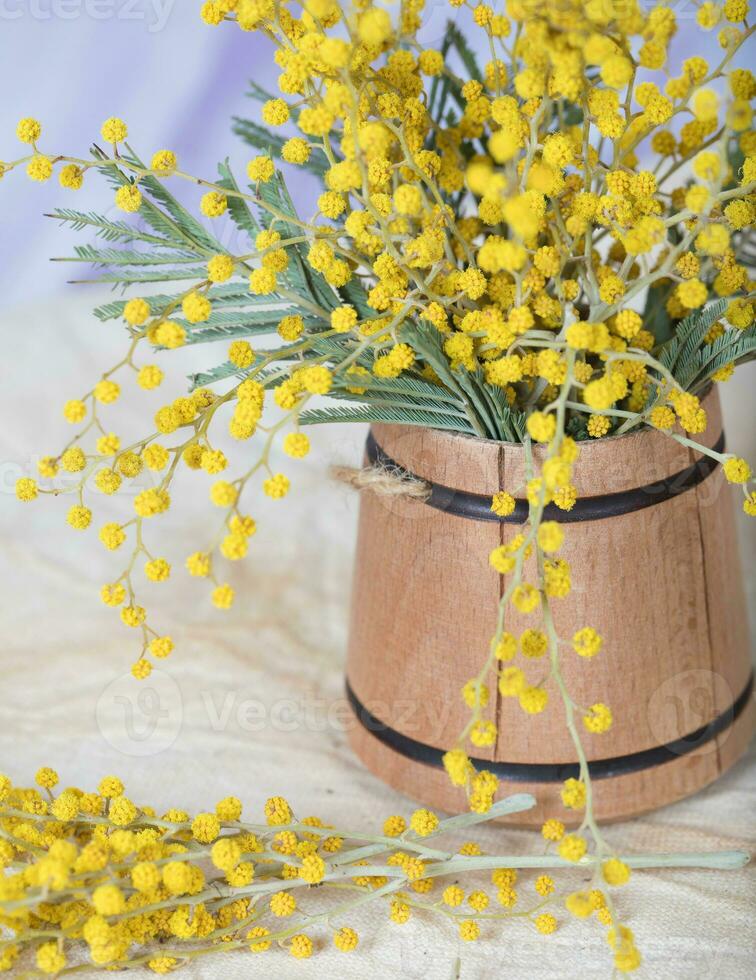 Mimosa flowers on a wooden surface. Closeup photo