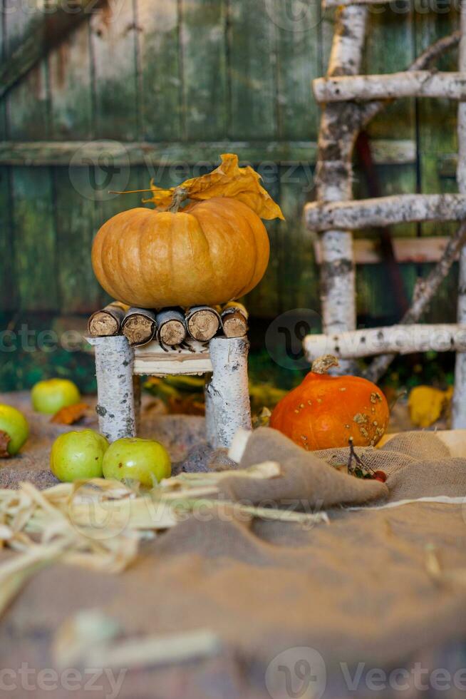 Orange pumpkin on a handmade chair. Closeup photo