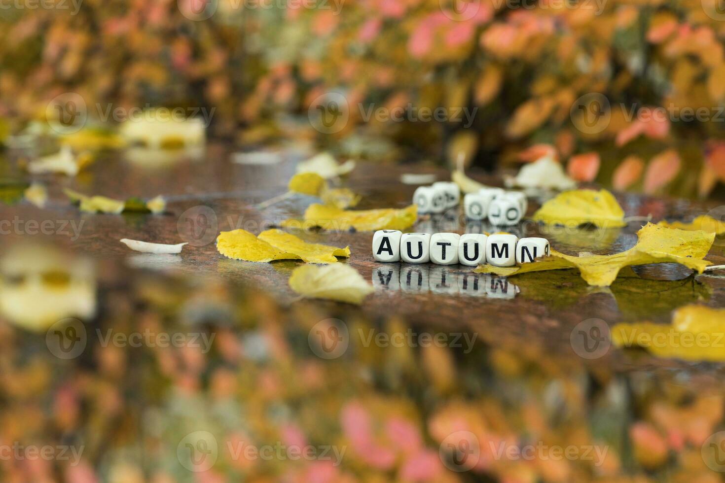 Word AUTUMN is composed of wooden letters. photo