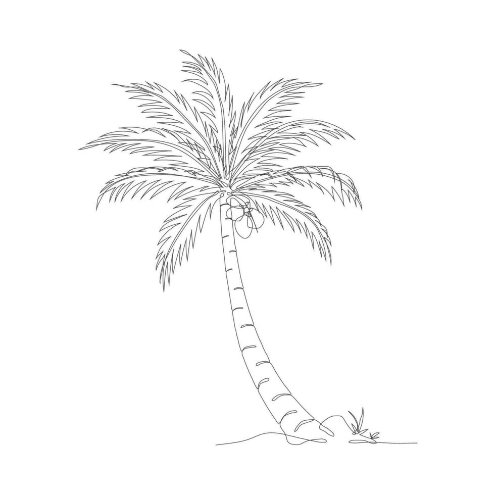 Coconut tree line art drawing. Single continuous line drawing of coconut palm tree. Decorative coconut palm tree concept. Coconut tree modern one line drawing vector illustration. Vector illustration