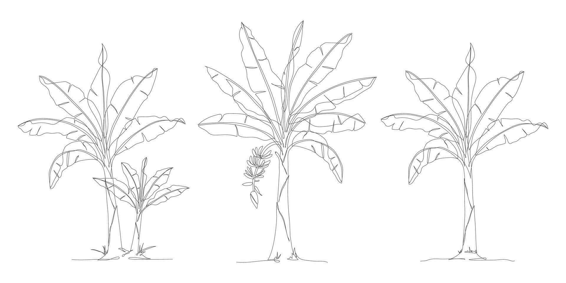 One continuous line drawing of banana tree collection. Banana tree line art drawing set. Set of Tropical concept banana tree vector illustration. Banana tree icon in one line drawing pack.