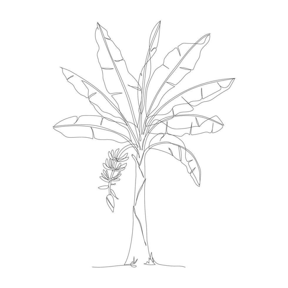 One continuous line drawing of banana tree. Banana tree line art drawing. Tropical concept of banana tree vector illustration. Banana tree icon in one line drawing. Vector illustration