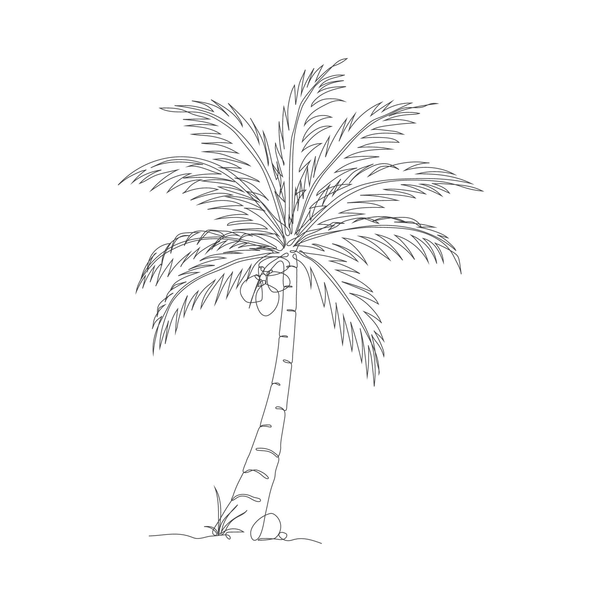 Coconut tree line art drawing. Single continuous line drawing of ...