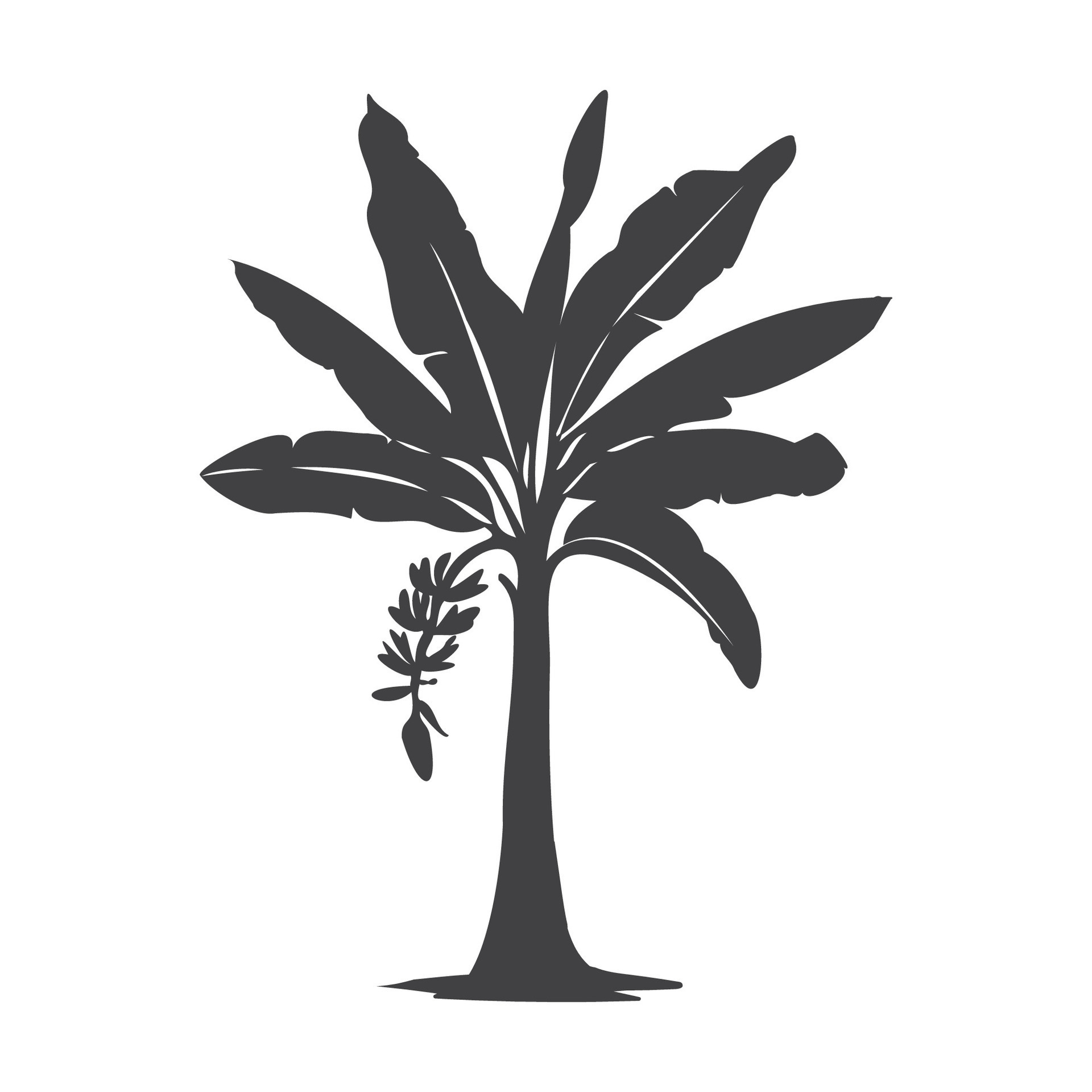 Banana Tree Silhouette Vector Icon. Vector Illustration of Banana Tree