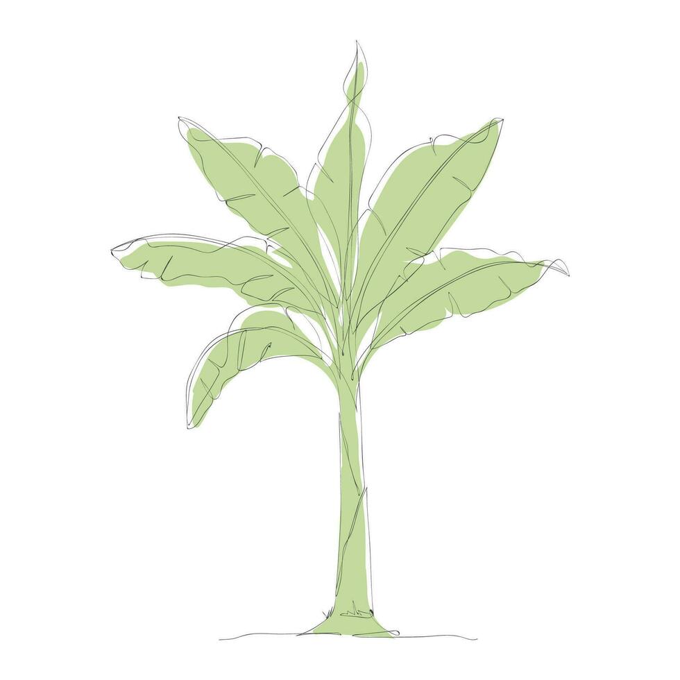 One continuous line drawing of banana tree. Banana tree line art drawing. Tropical concept of banana tree vector illustration. Banana tree icon in one line drawing. Vector illustration