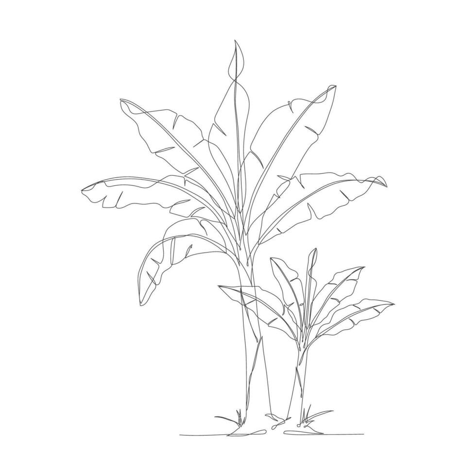 One continuous line drawing of banana tree. Banana tree line art drawing. Tropical concept of banana tree vector illustration. Banana tree icon in one line drawing. Vector illustration