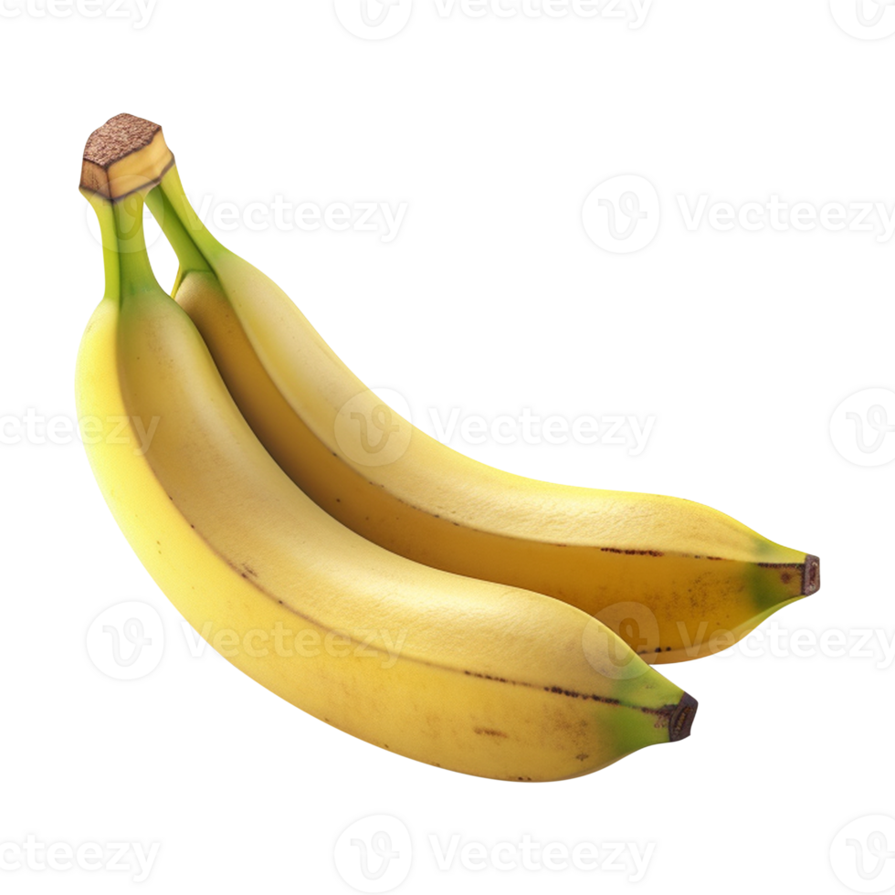 Banana plantain the banana png banana transparent background