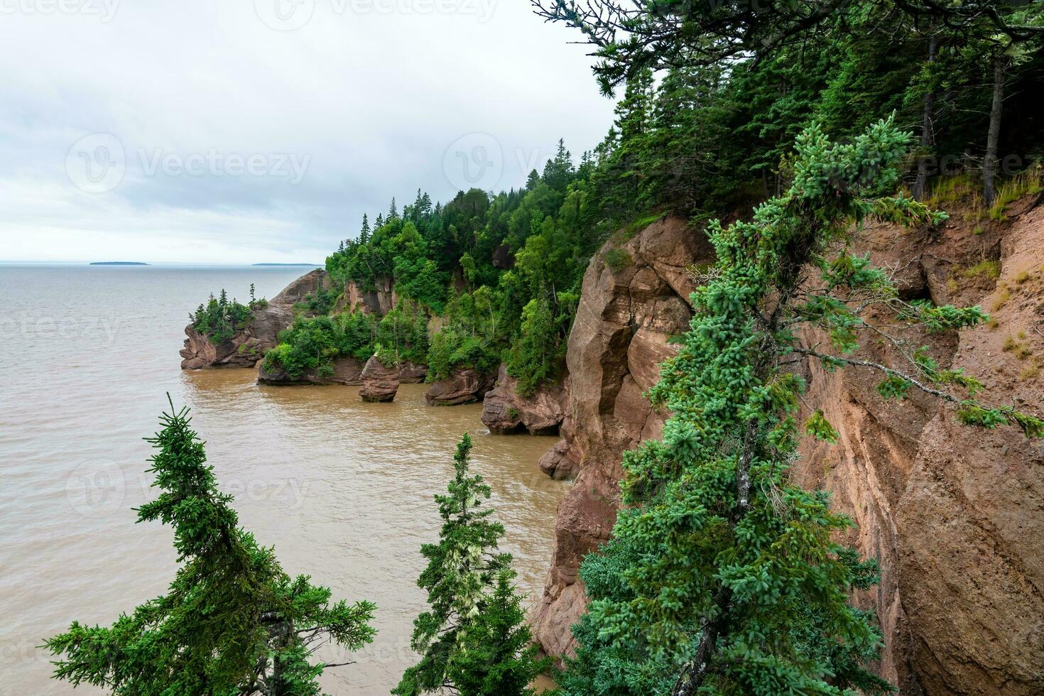 Bay of Fundy photo