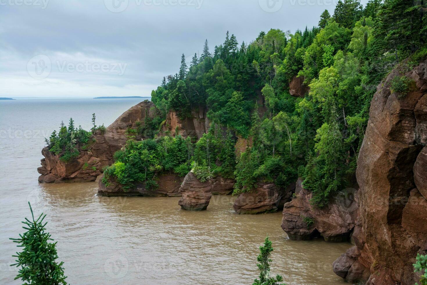 Bay of Fundy photo