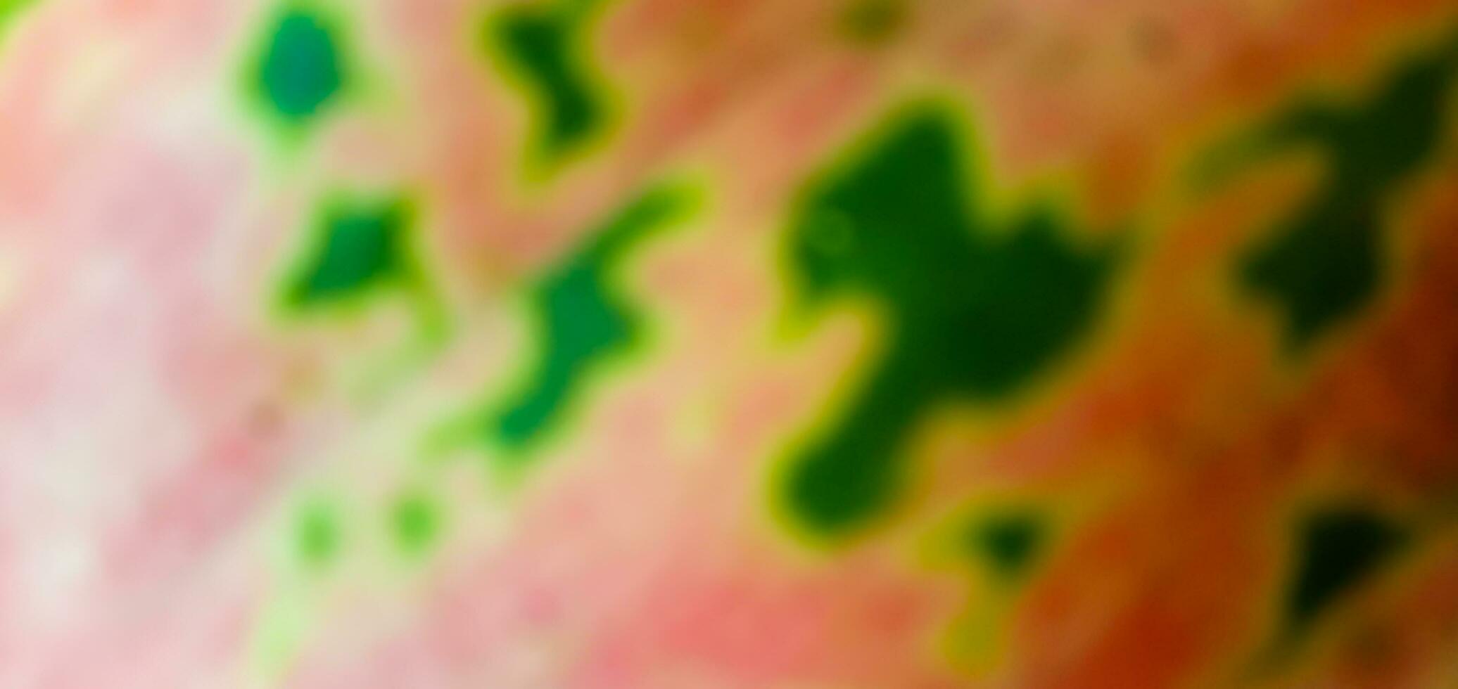 Blurred Abstrack Background photo