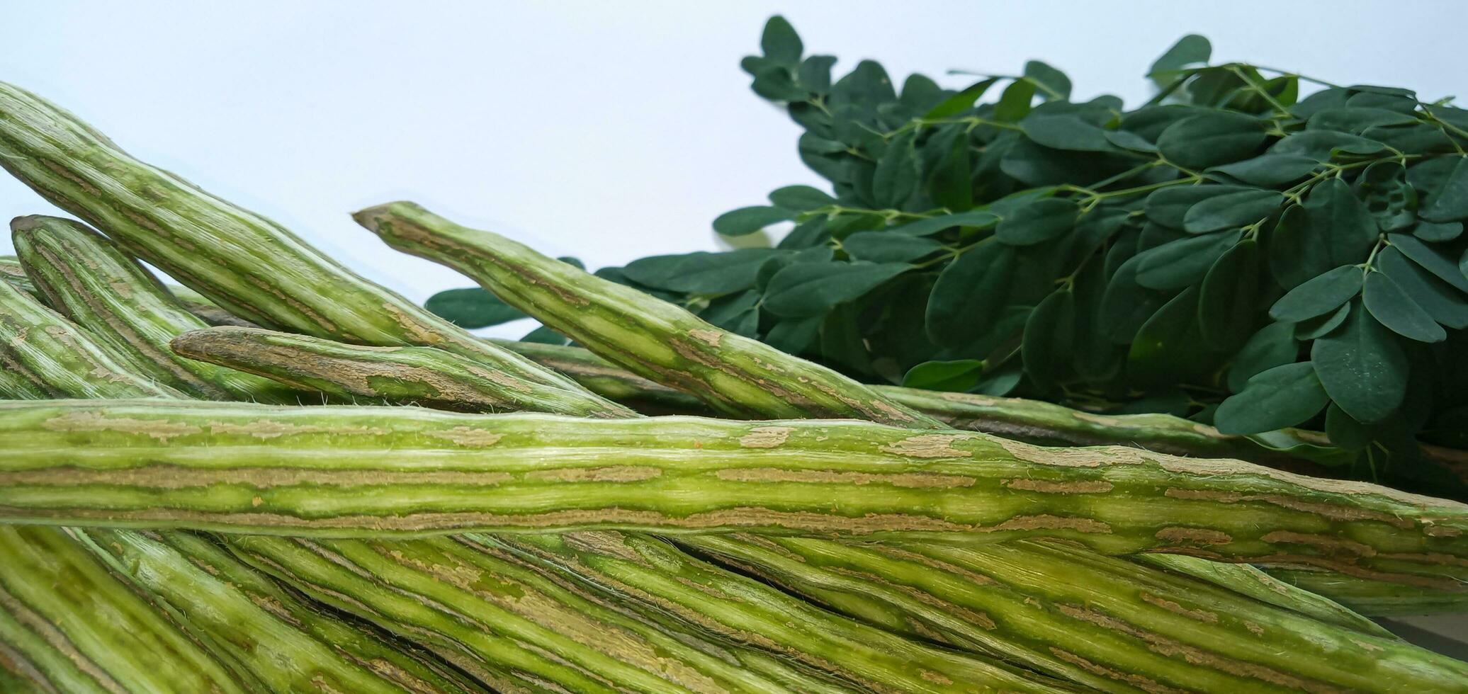Healthy green vegan super food- Fresh harvested organic Moringa, Limaran, ben-oil, drum stick, horseradish tree, or Malunggay  vegetable. In Indonesia this vegetable is called Sayur Klentang. photo