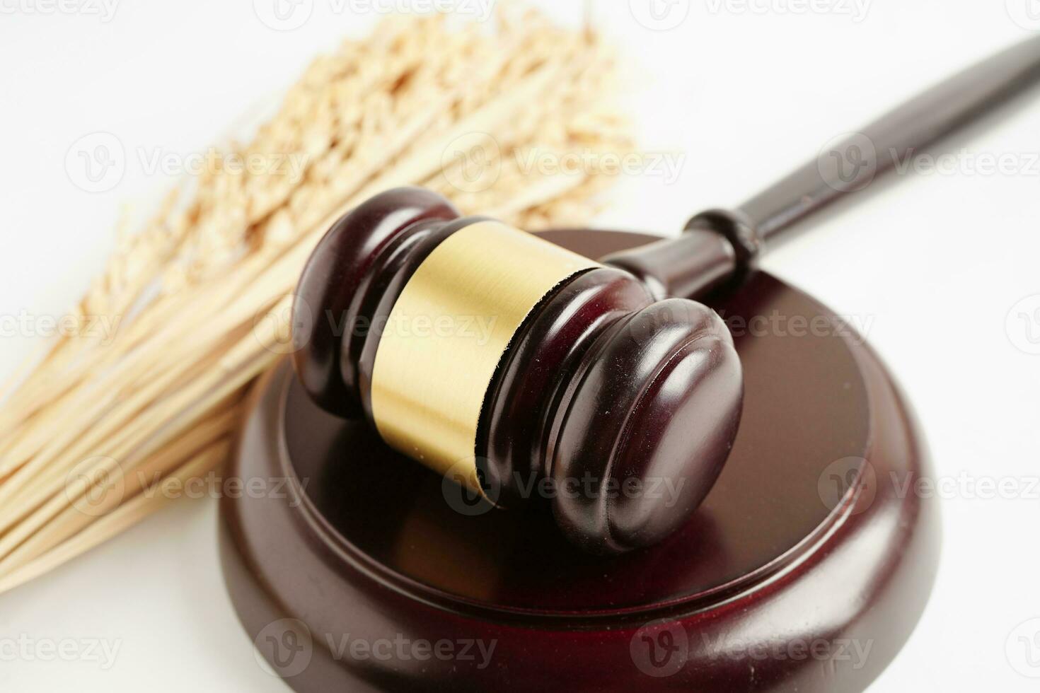 Judge gavel hammer with good grain rice from agriculture farm. Law and justice court concept. photo