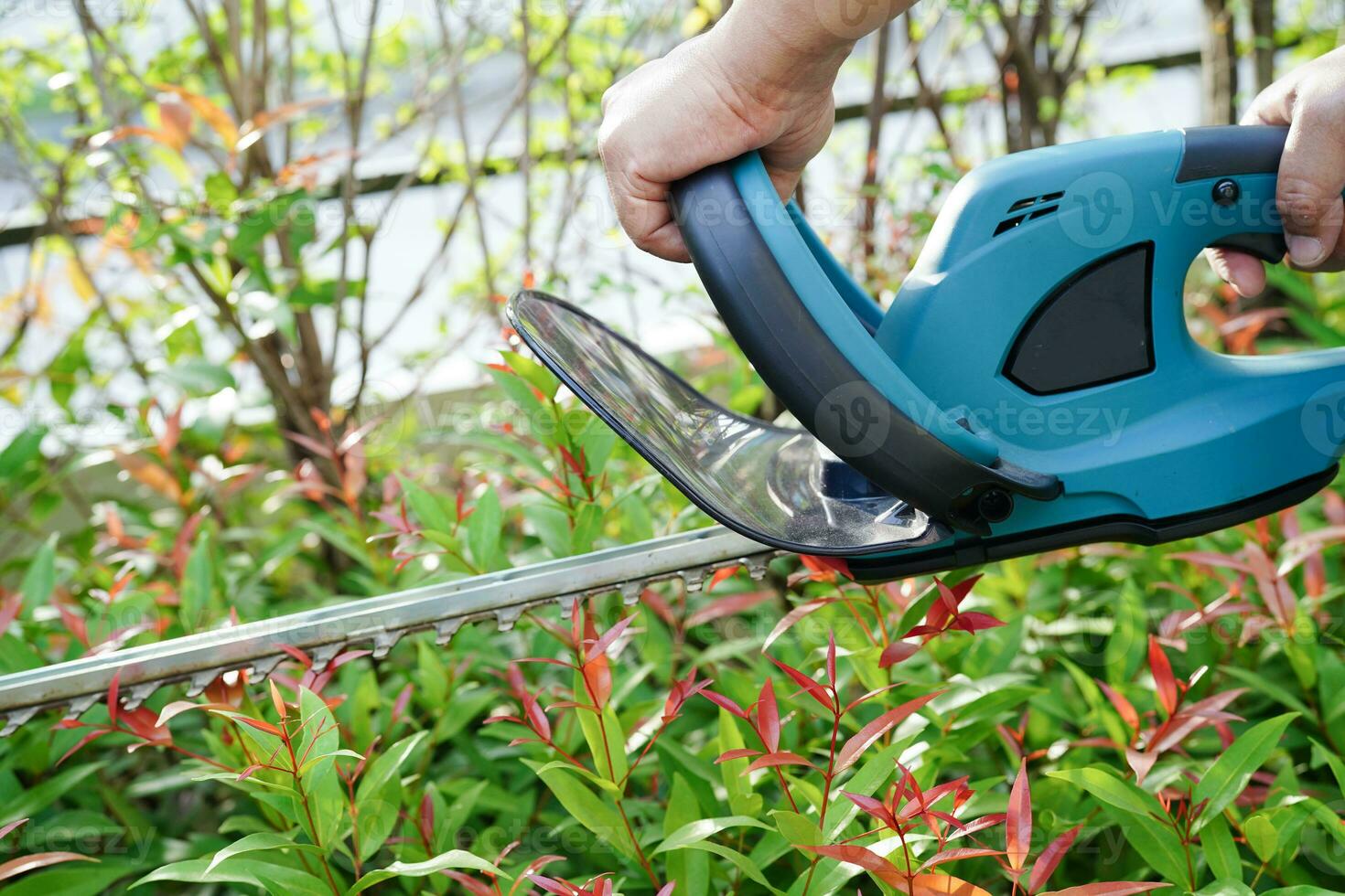 Gardener trimming bush by electric hedge clippers in garden. Hobby at home. photo