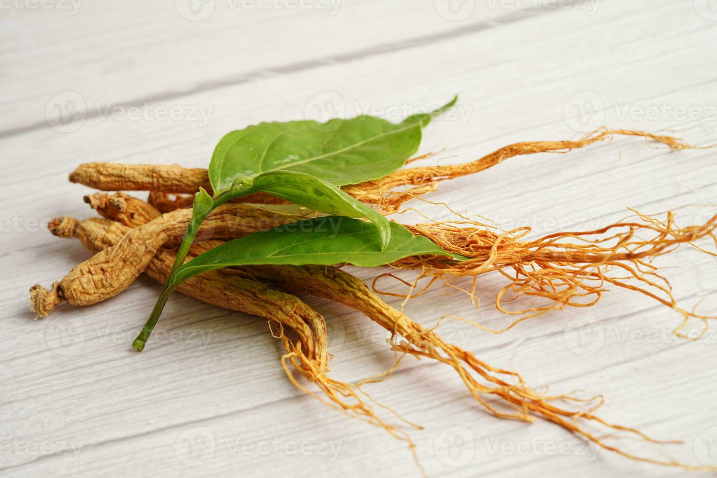 Ginseng roots and green leaf, healthy food. photo