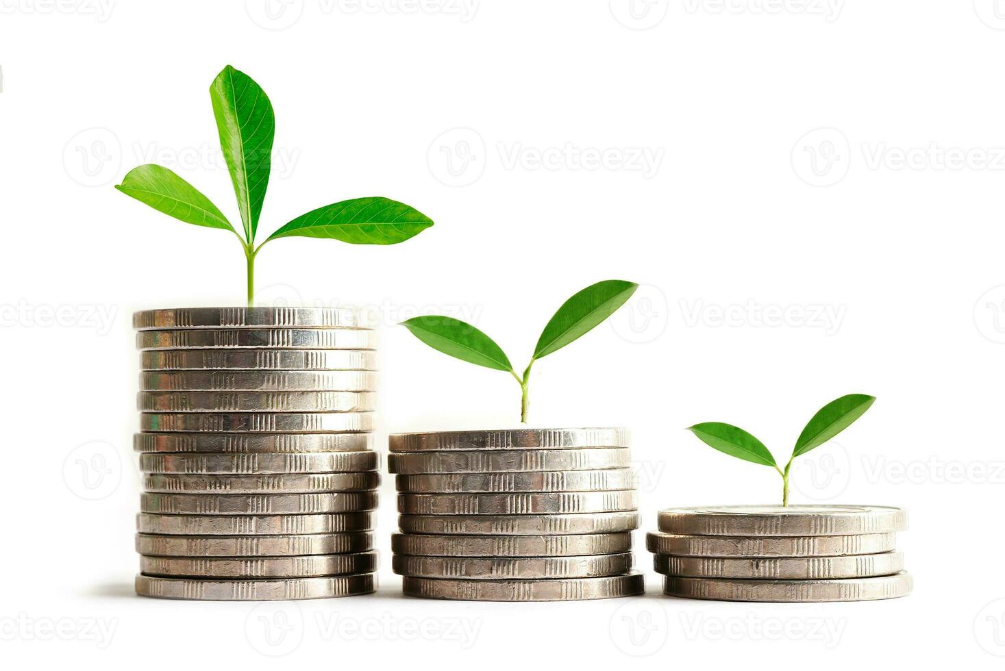 Green leaf plant on save money coins, Business finance saving banking investment concept. photo