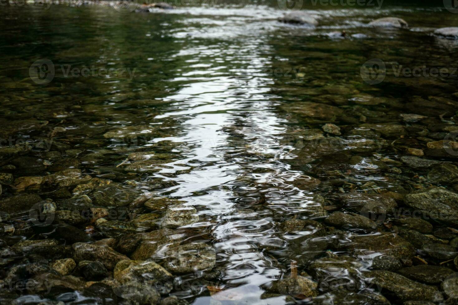 tranquilidad de el aguas de el cascada foto