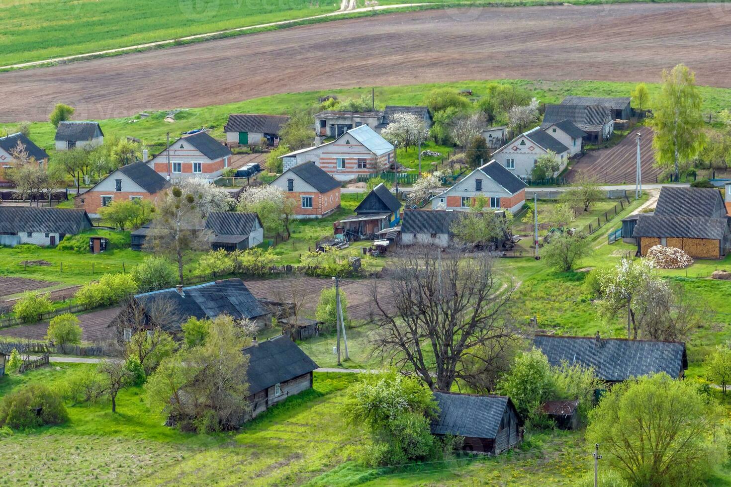 panoramic aerial view of eco village with wooden houses, gravel road, gardens and orchards photo