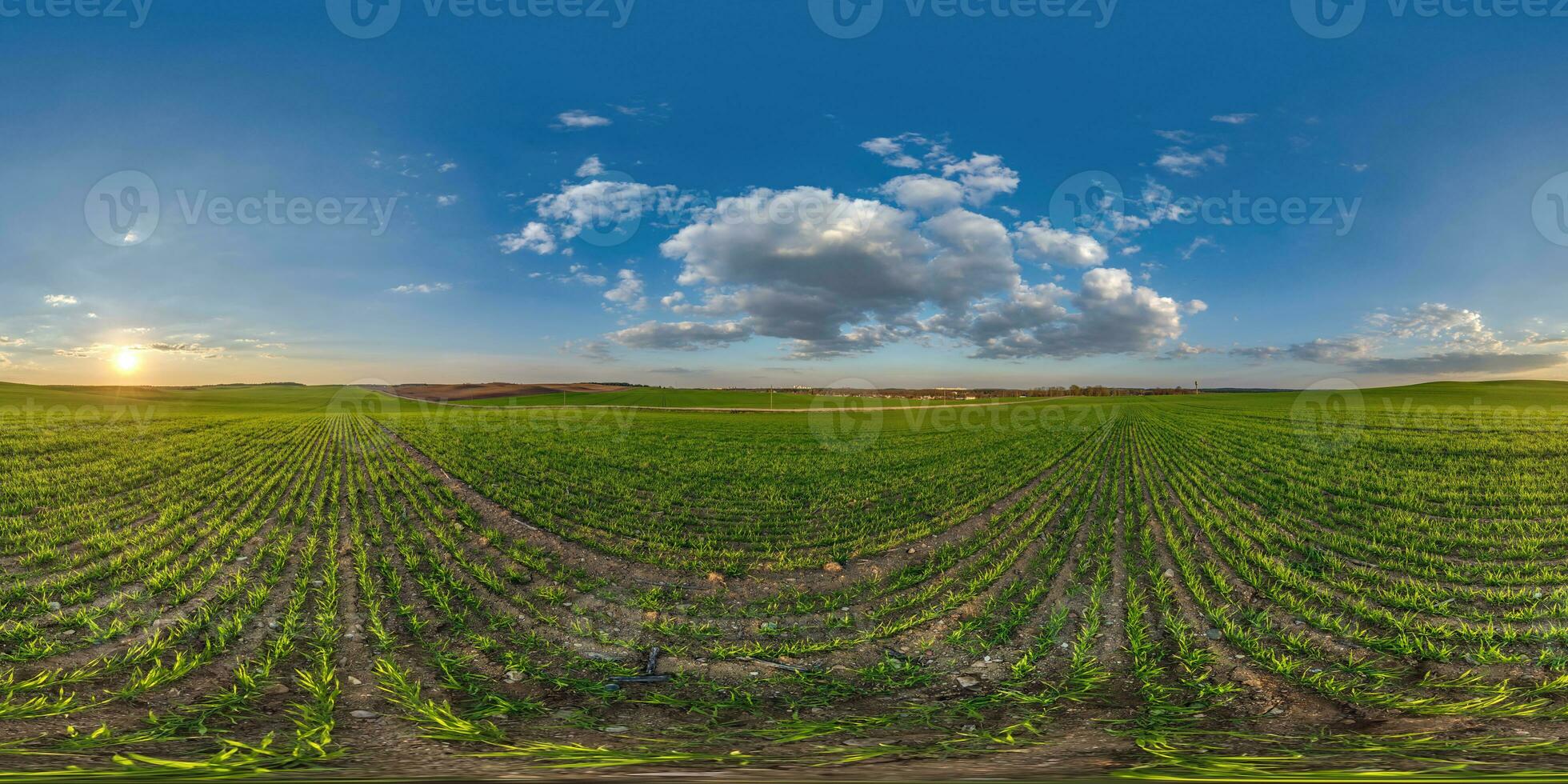 spherical 360 hdri panorama among farming field with clouds and sun on evening blue sky in equirectangular seamless projection, as sky replacement in drone panoramas, game development photo