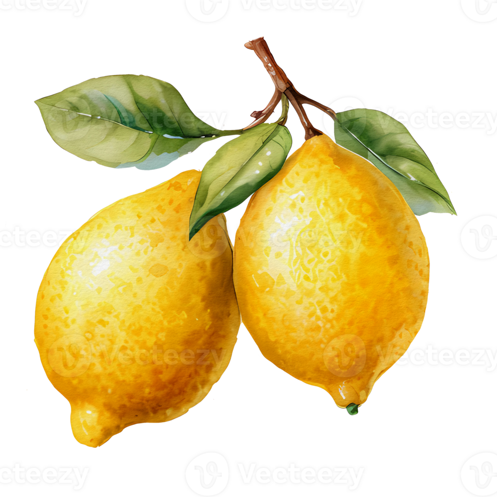 watercolor lemon, aesthetic png