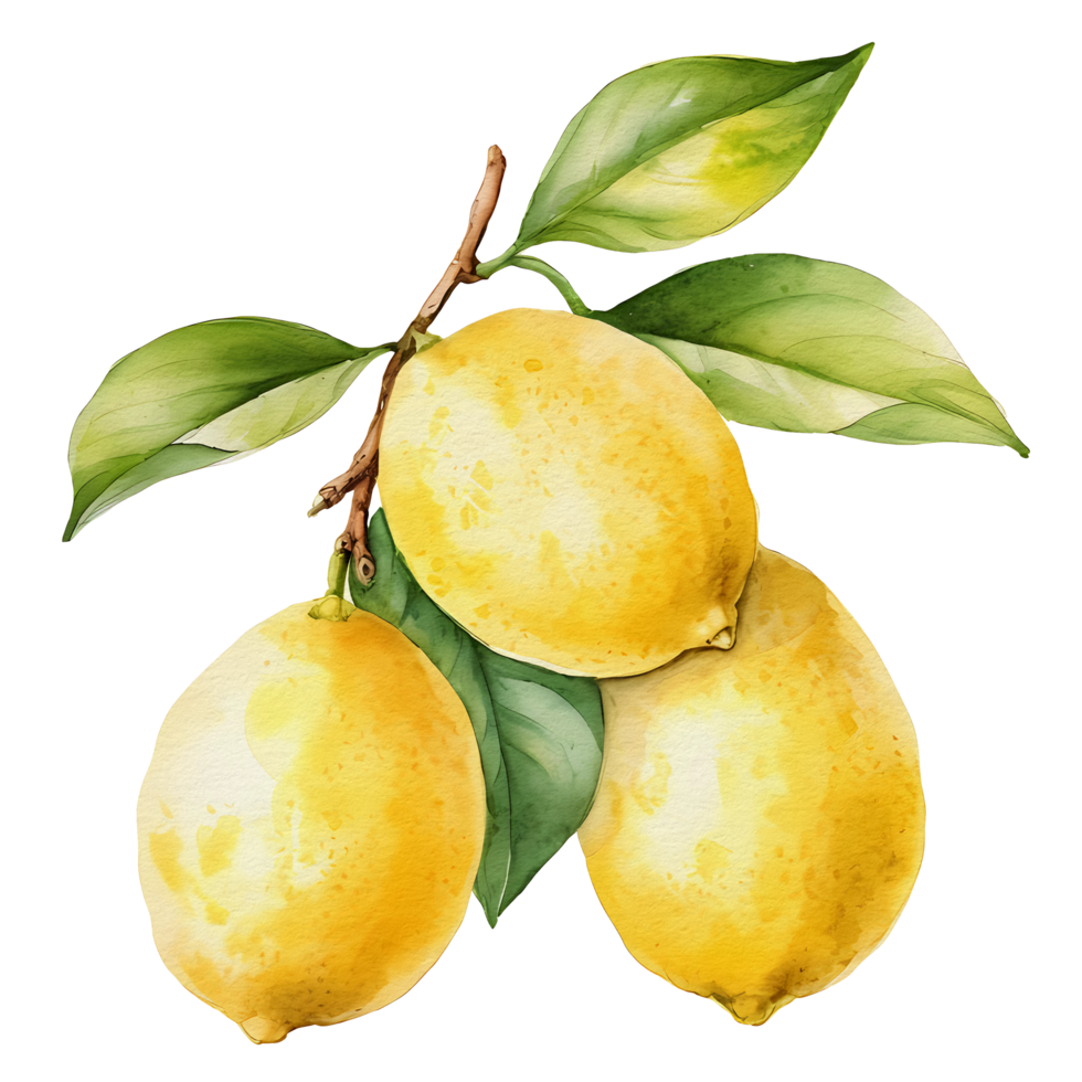 watercolor lemon, AI Generative png