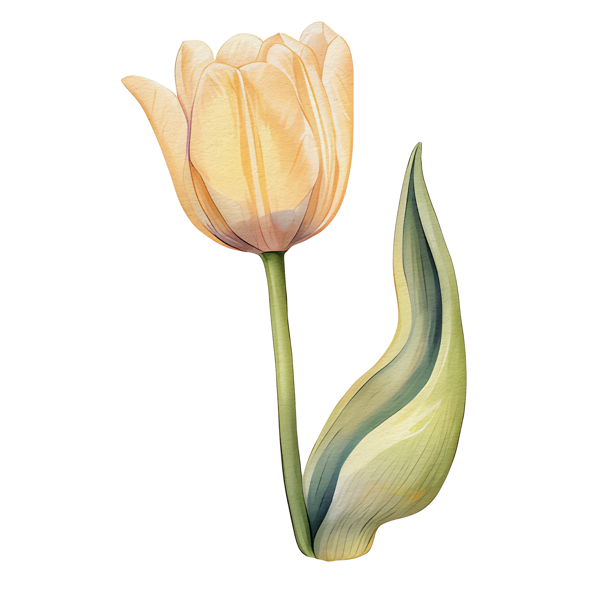 watercolor beautiful yellow tulips, tulips flower basket, AI Generative ...