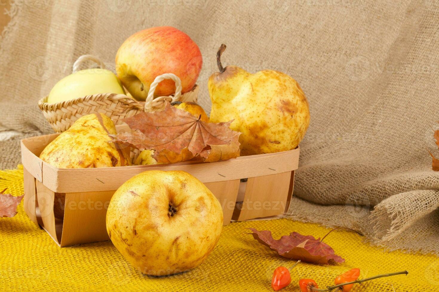 Yellow pears and pink apples photo