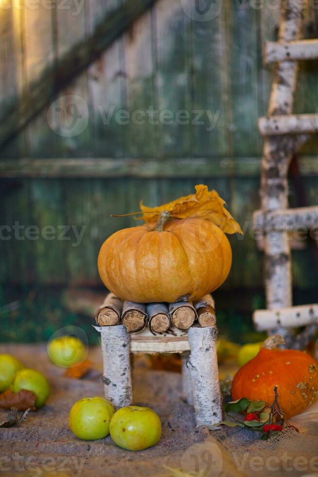 Orange pumpkin on a handmade chair. Closeup photo