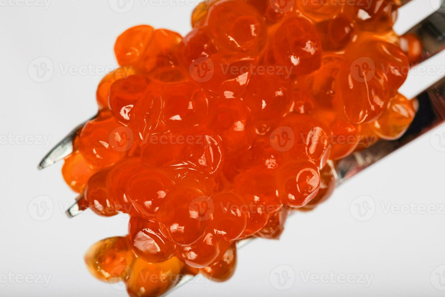 Red caviar on a metal fork. photo