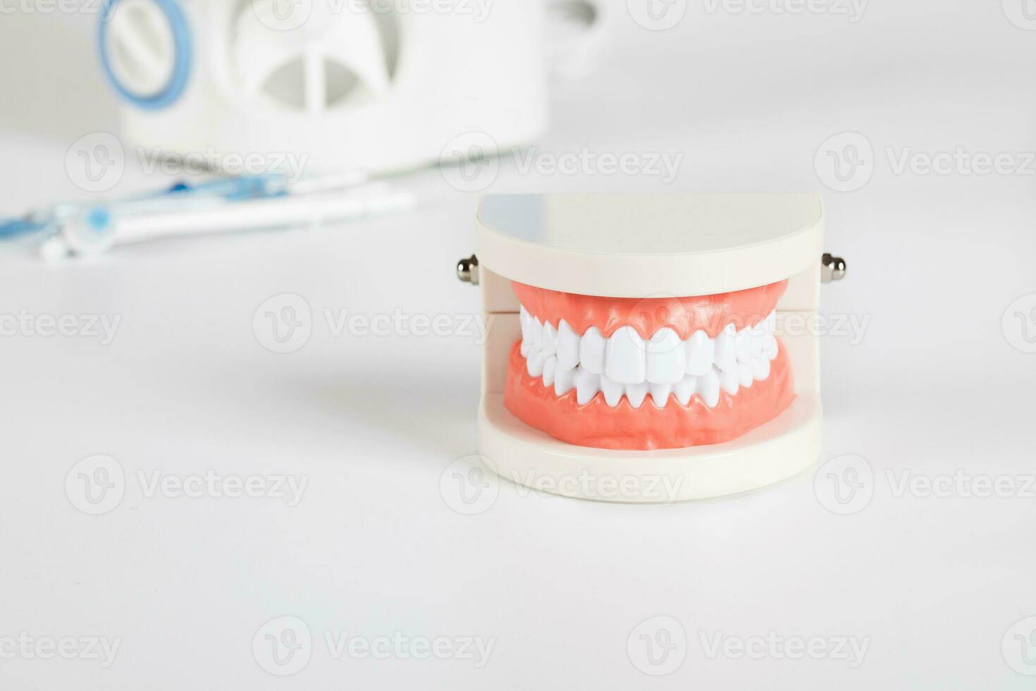 dientes y mandíbula modelo. de cerca foto