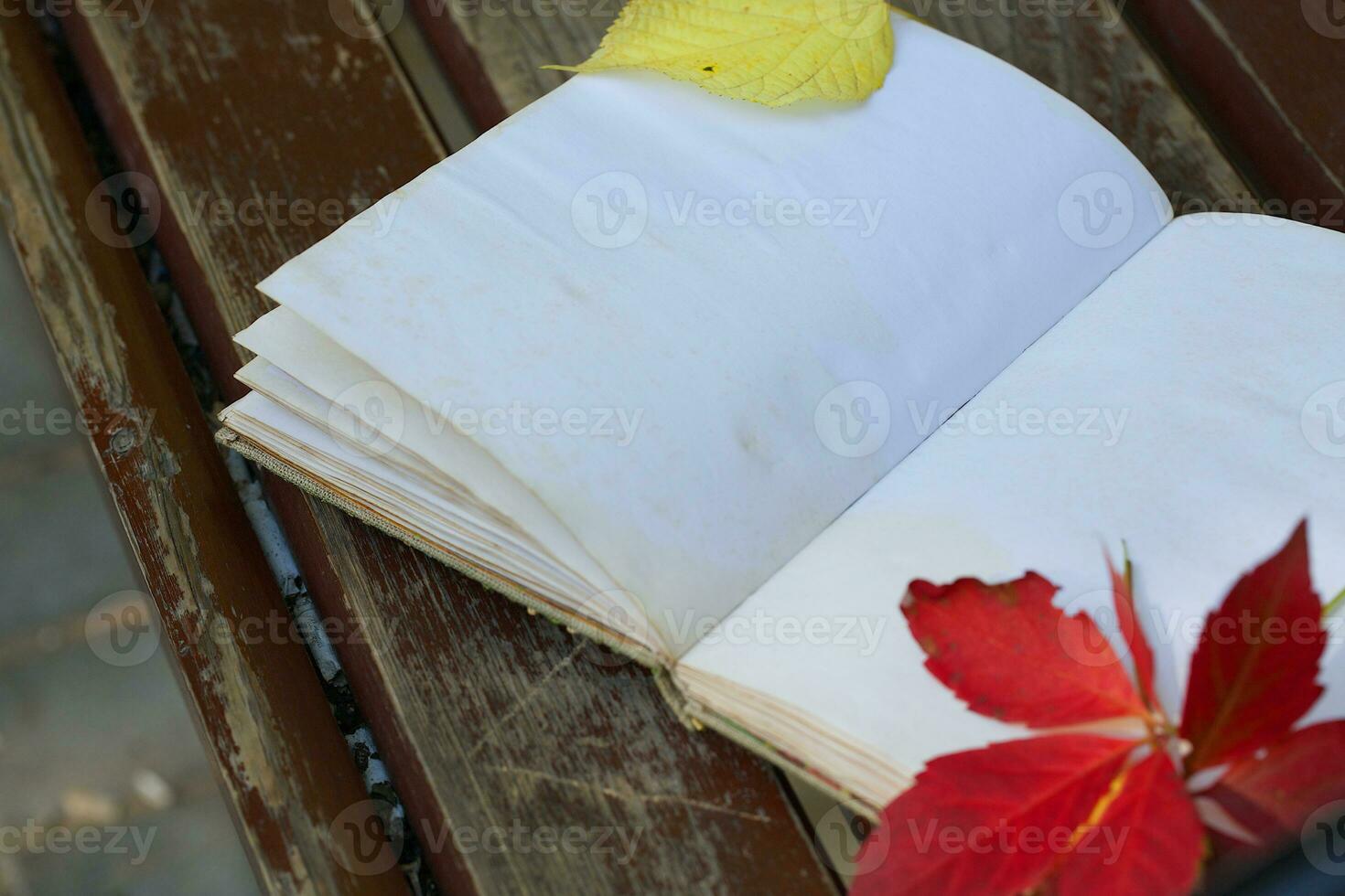Open book with colourful autumn leaf on a brown bench. photo