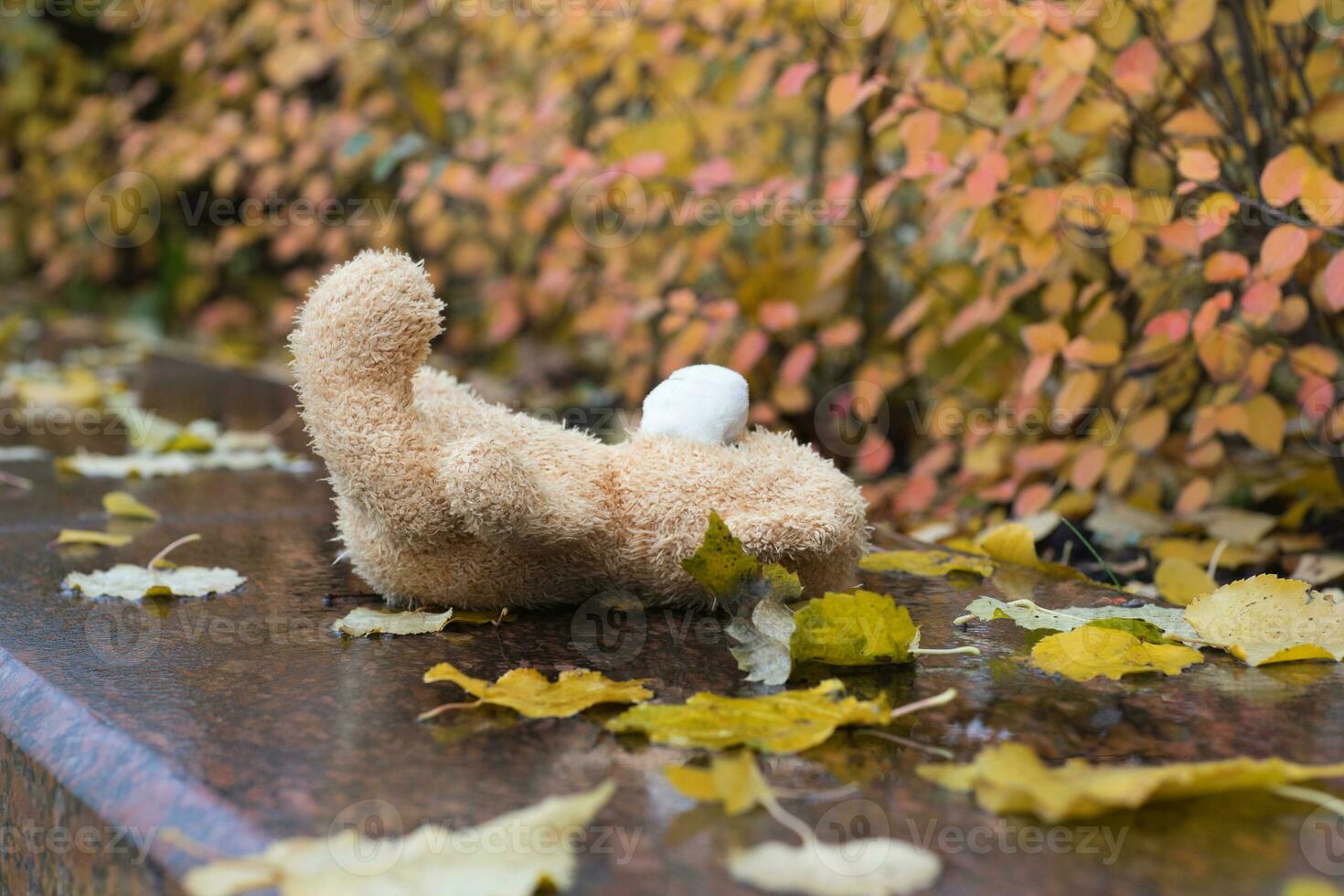 Brown plush teddy bear lost on a wet marble stone photo