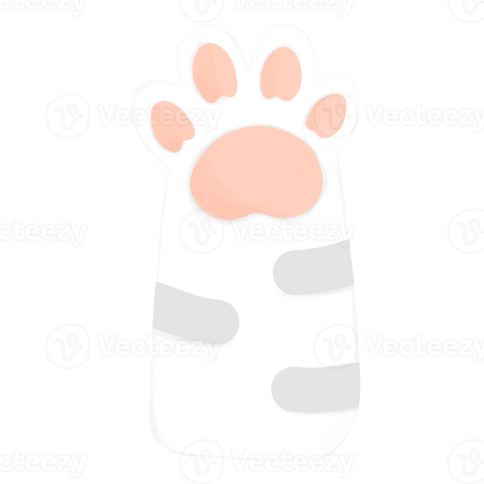 flat white cat leg with white paw png