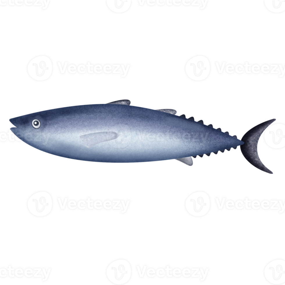 tonno è un' medio dimensione di pesce. bellissimo pesce pittura con azione. png