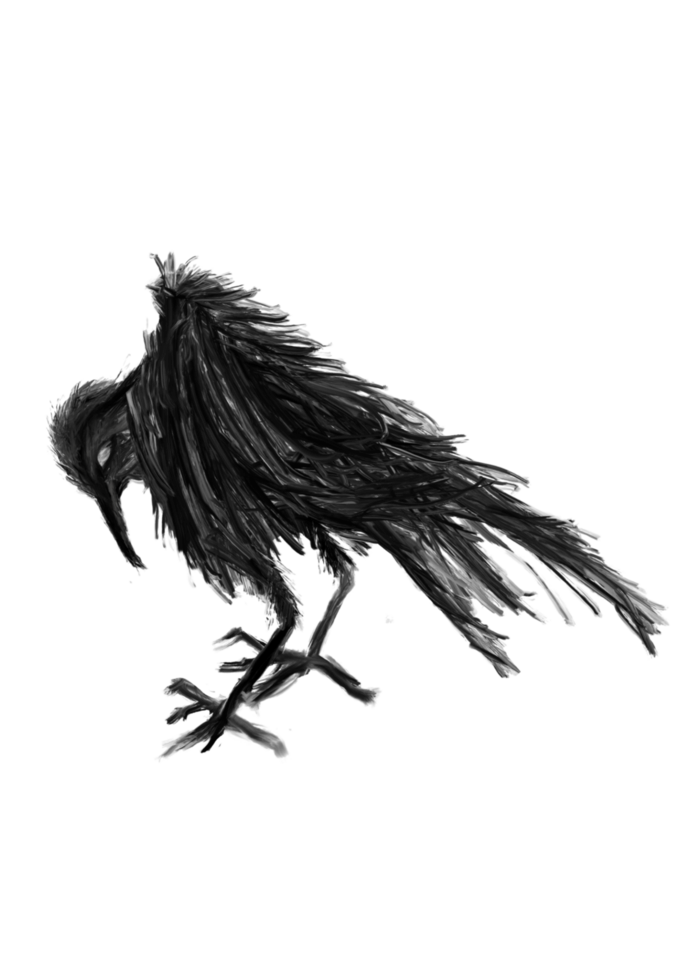 nero corvo silhouette png