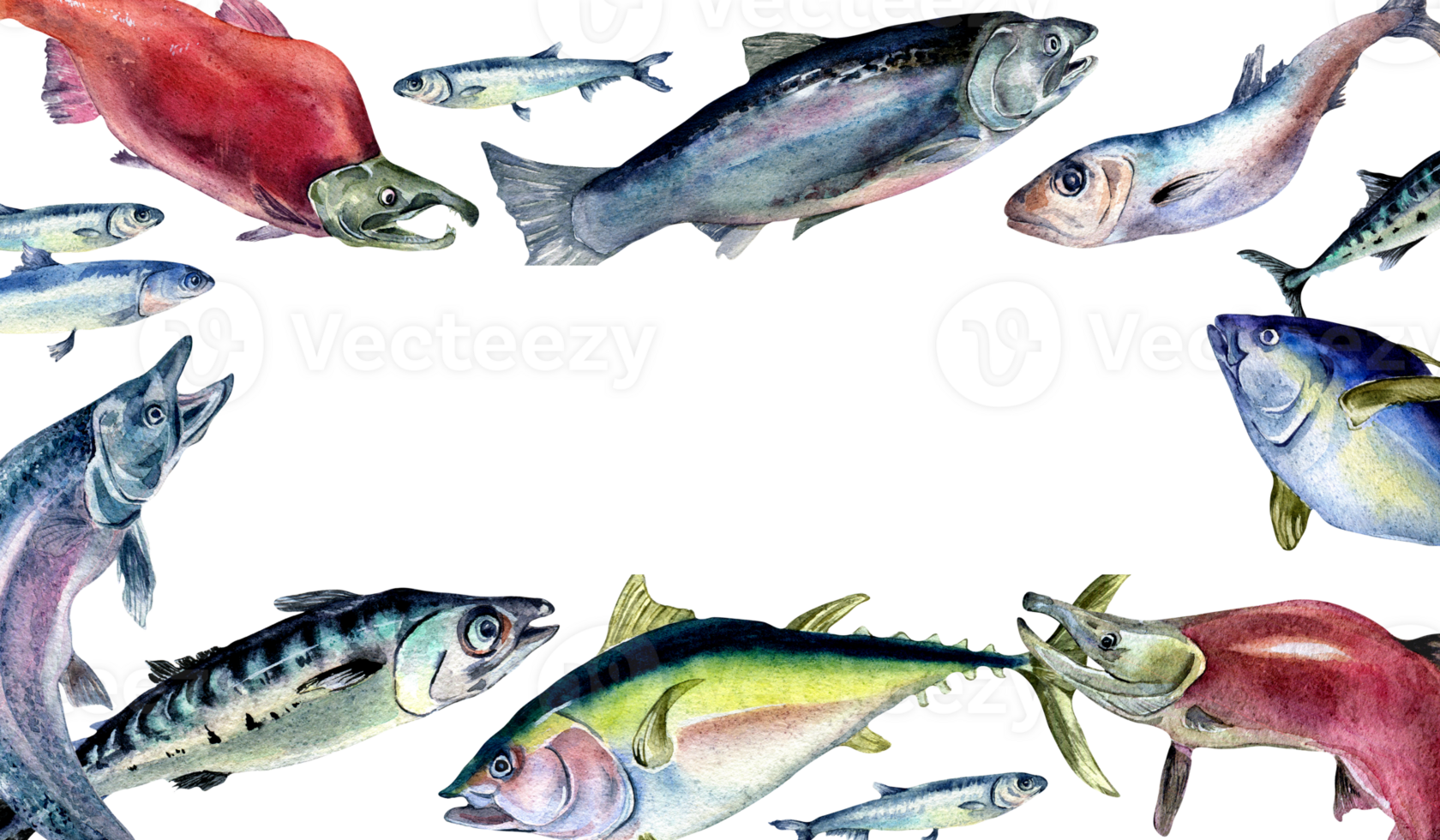 Frame of various fresh sea fish watercolor illustration. Wild fish, tuna, salmon, herring, anchovy hand drawn. Design element for cookbook, signboard, menu, market, packaging. png