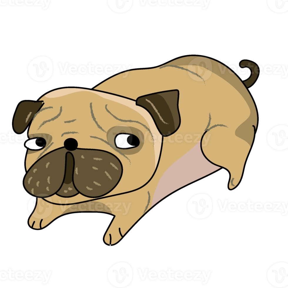 cute funny crazy pug dog cartoon png