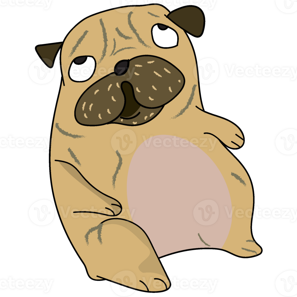 cute funny crazy pug dog cartoon png