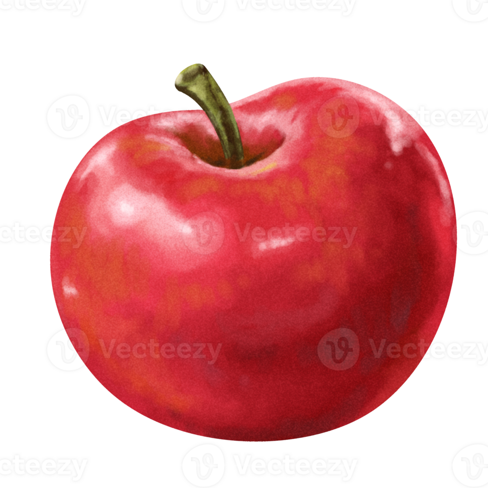 vattenfärg frukt målning äpple png