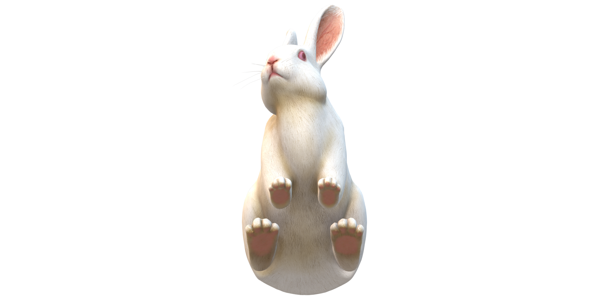 Rabbit isolated on a Transparent Background png