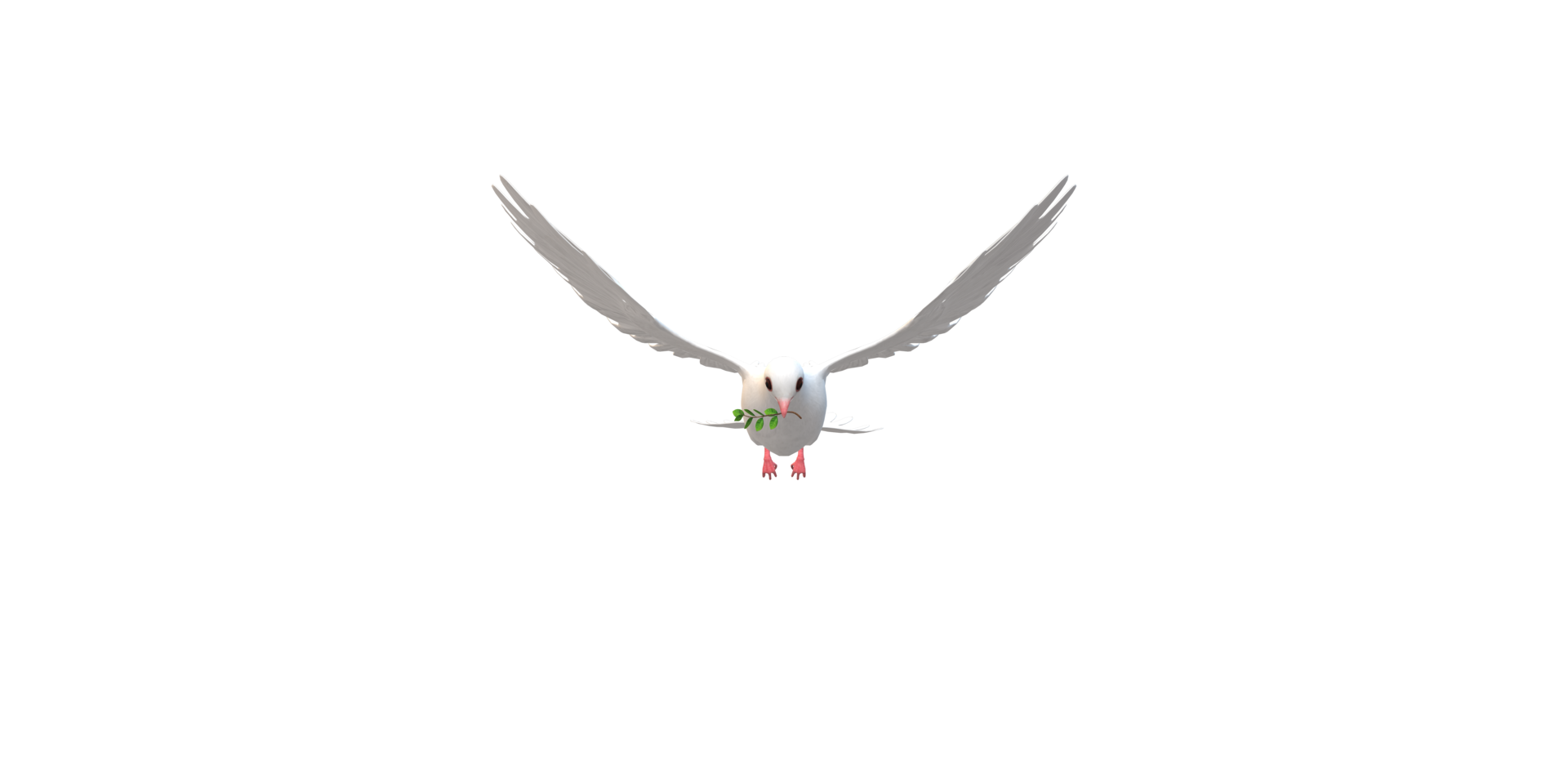 Peace Dove isolated on a Transparent Background png