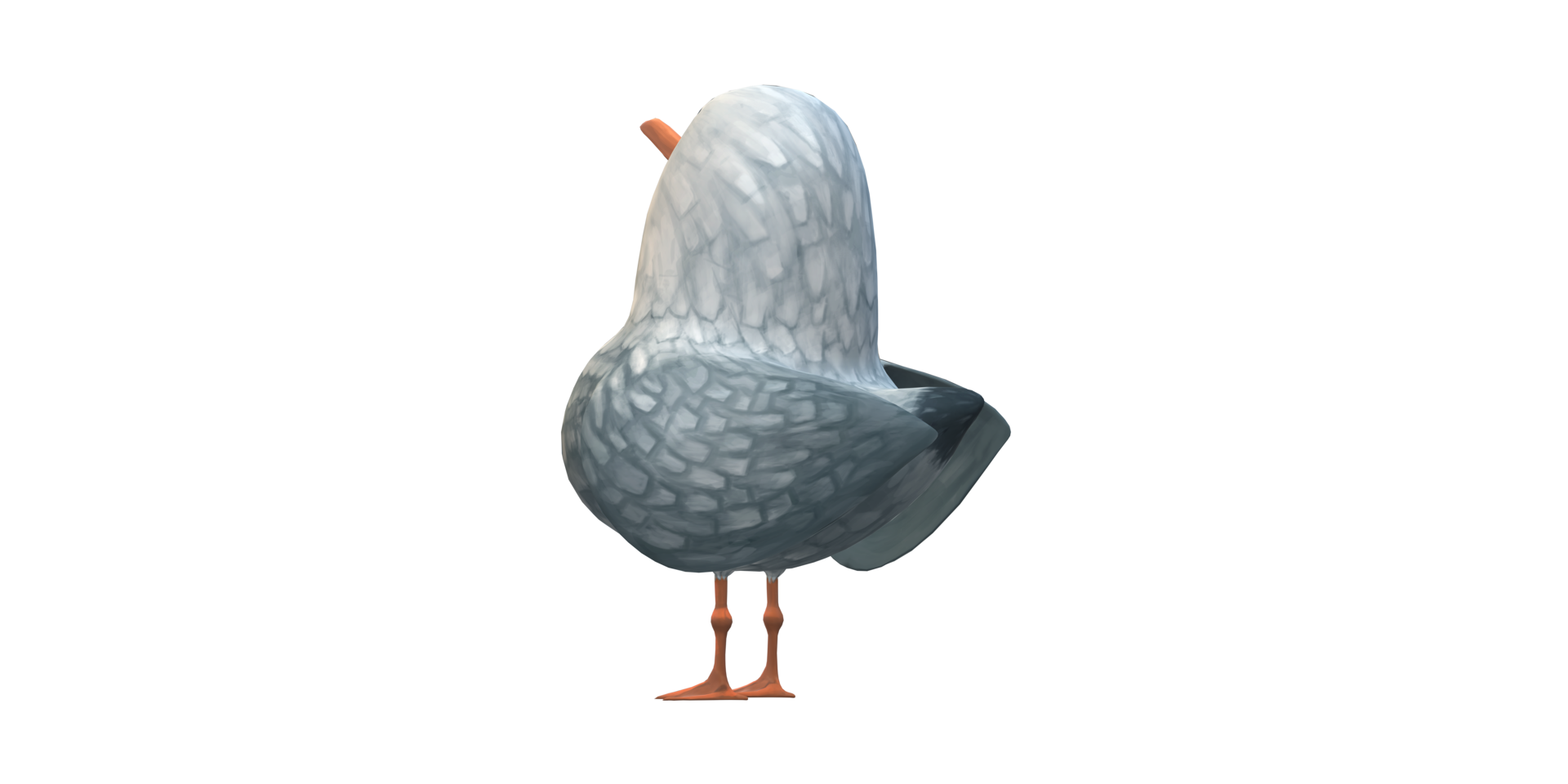 Seagull Isolated on a Transparent Background png