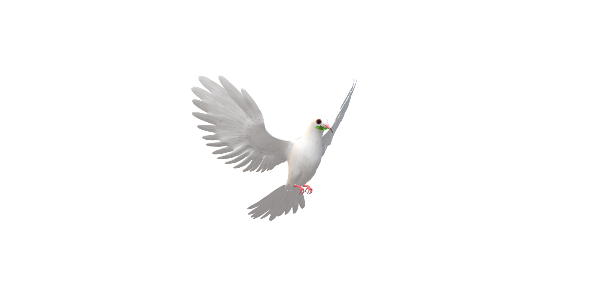 Peace Dove isolated on a Transparent Background png