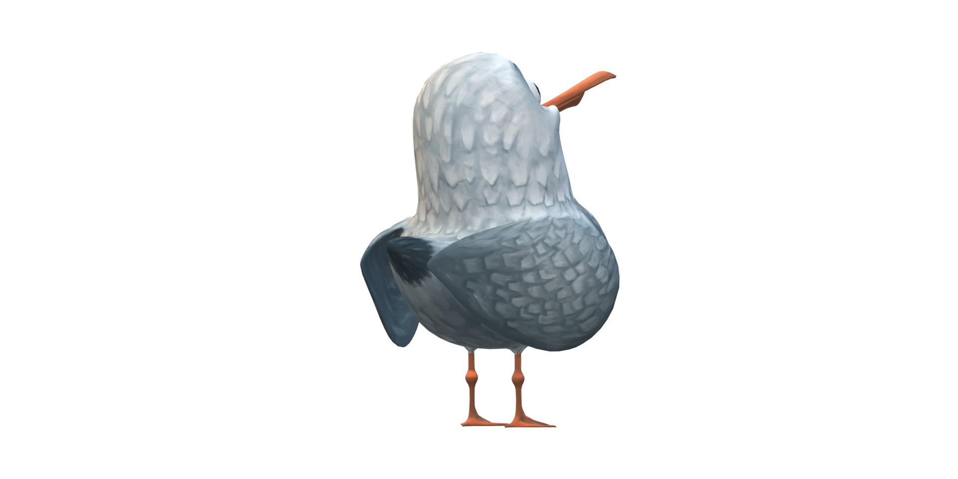 Seagull Isolated on a Transparent Background png