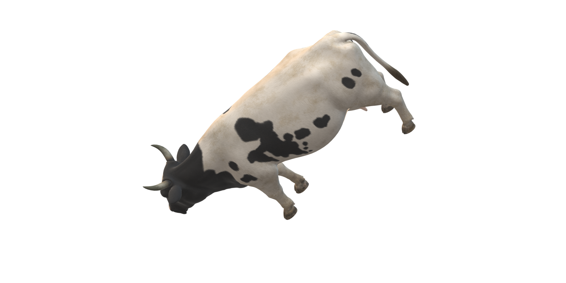 Cow isolated on a Transparent Background png